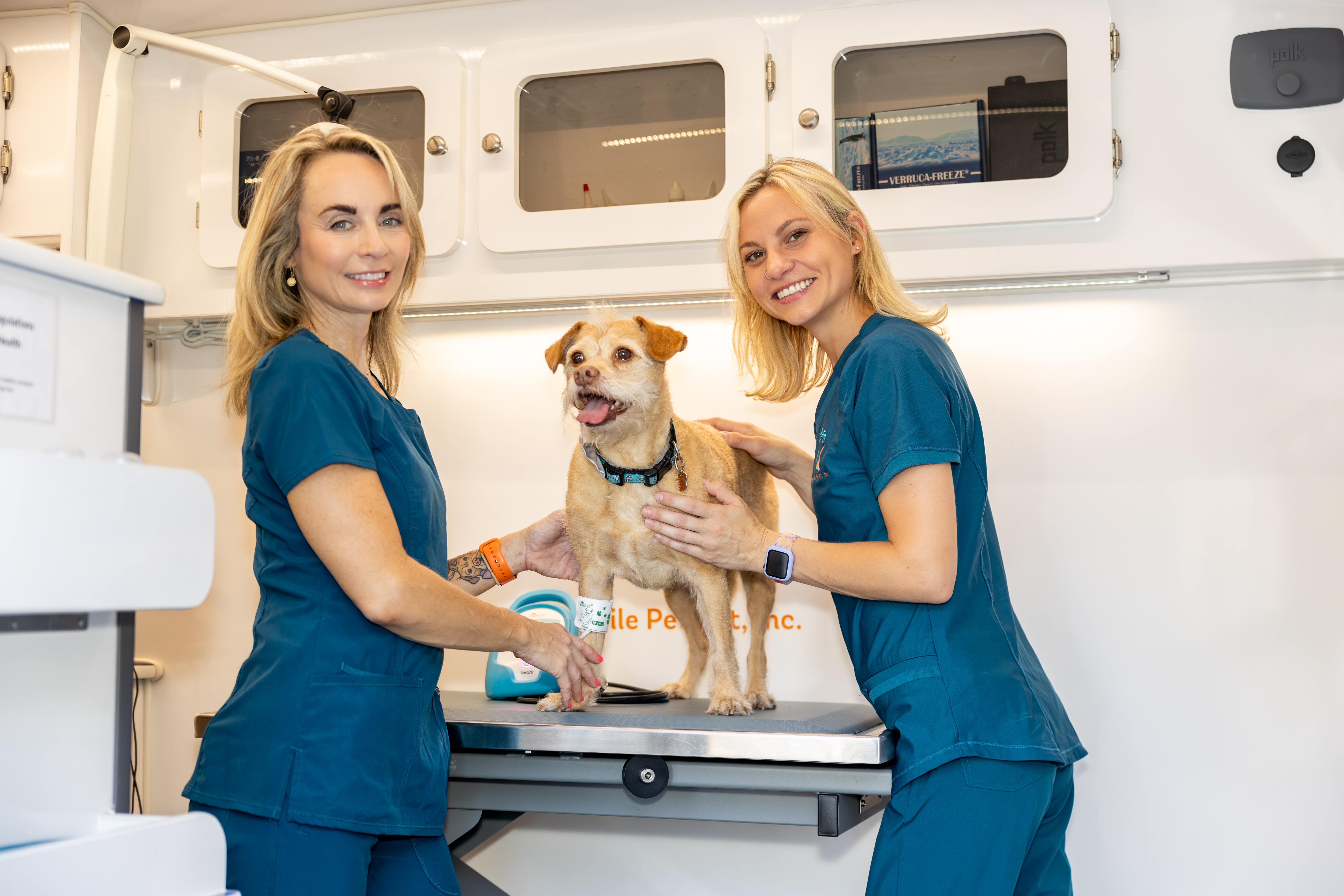 Wellness & Prevention