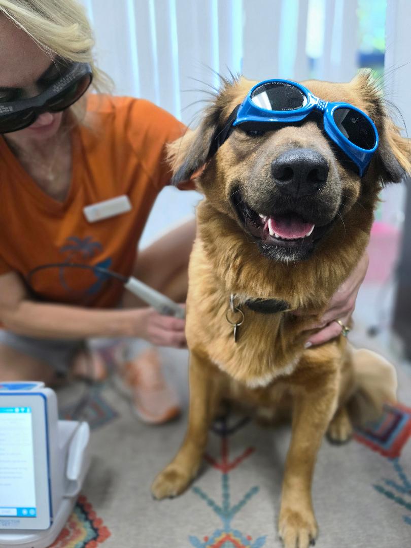 Advanced Diagnostics