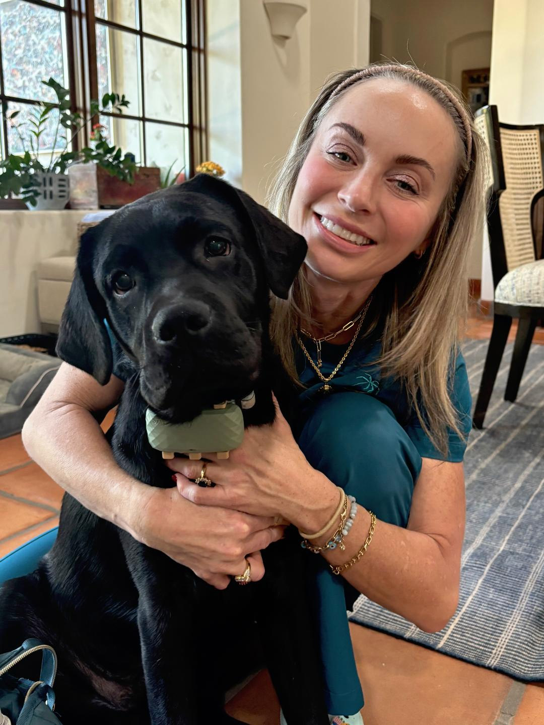 Pet Wellness