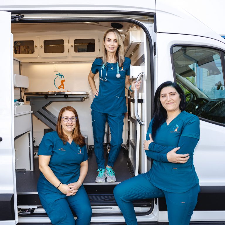 Home Mobile Veterinary Practice